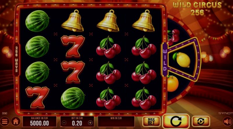 Play Wild Circus 256 by Synot at 1Win Casino