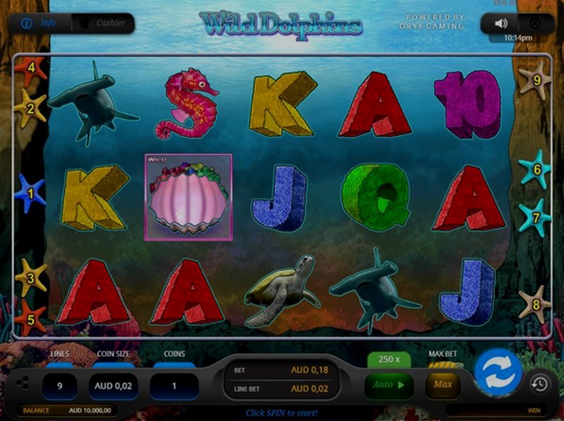 Play Wild Dolphins by Bluehorn at 1Win Casino