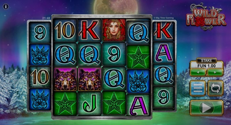 Play Wild Flower by Big Time Gaming at 1Win Casino