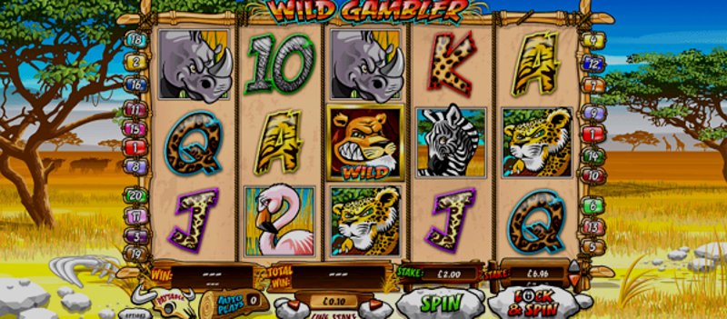 Play Wild Gambler by Playtech at 1Win Casino