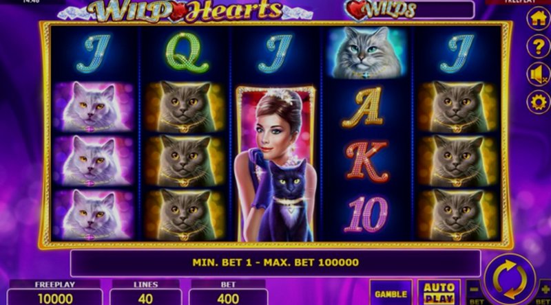 Play Wild Hearts by Amatic at 1Win Casino