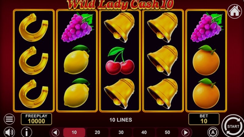 Play Wild Lady Cash by 1spin4win at 1Win Casino