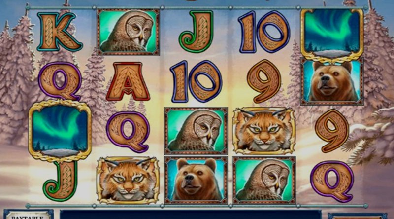 Play Wild North by Playn Go at 1Win Casino