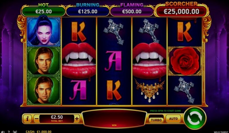 Play Wild Thirst by Rubyplay at 1Win Casino