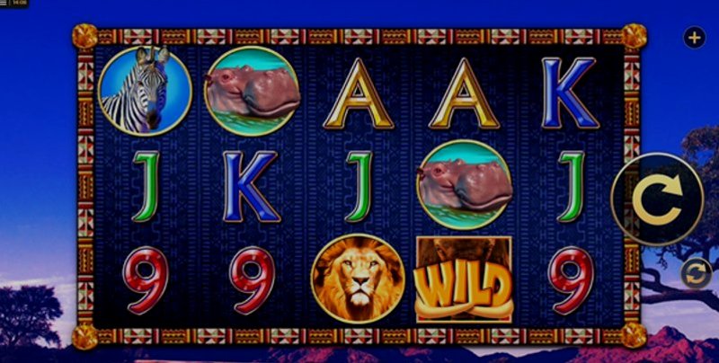 Play Wild Tusks by High5 at 1Win Casino