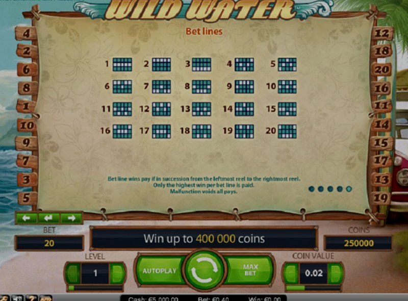 Play Wild Water by Netent at 1Win Casino