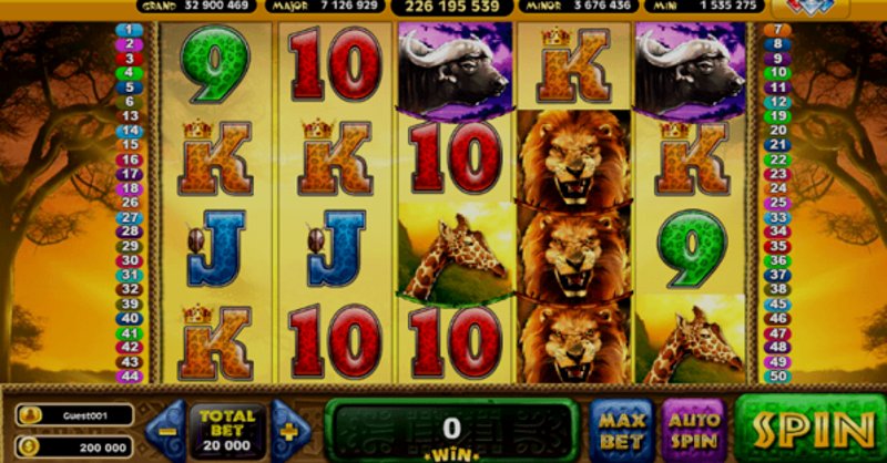 Play Africa by Belatra at 1Win Casino