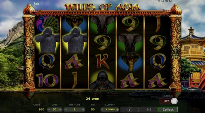 Play Wilds of Asia by 5 Men Gaming at 1Win Casino