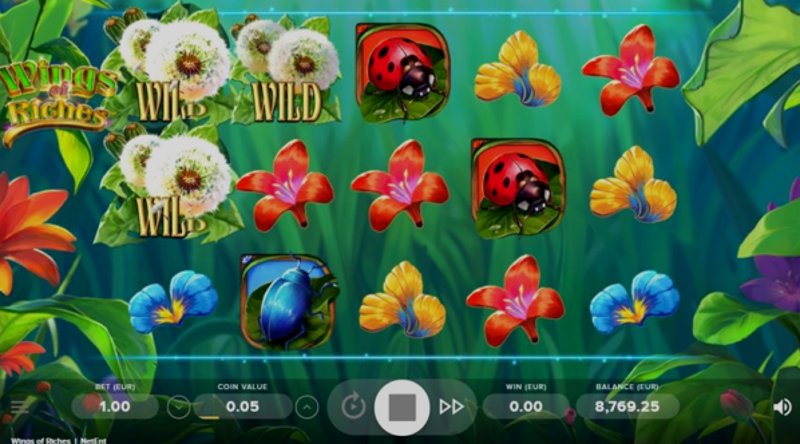 Play Wings of Riches by Netent at 1Win Casino