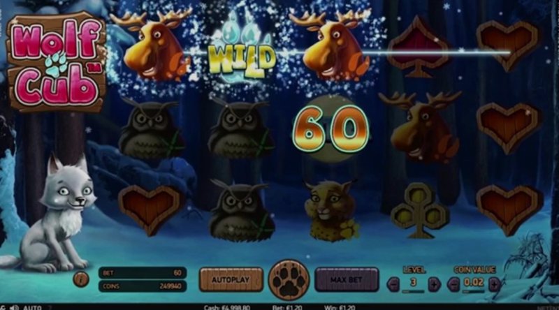 Play Wolf Cub in Burkina Faso at 1Win Casino