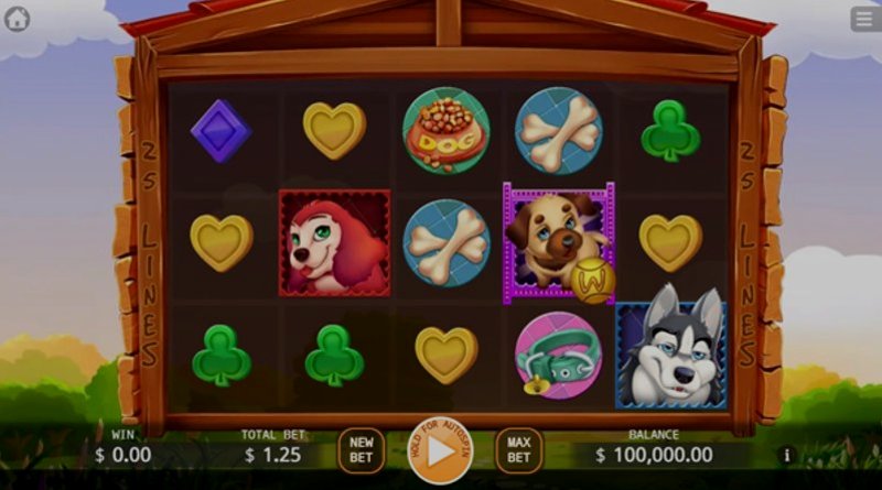 Play Won Won Rich by Kagaming at 1Win Casino