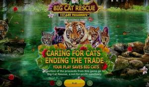 Big Cat Rescue Megaways 1Win