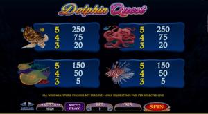 Dolphin Quest 1Win