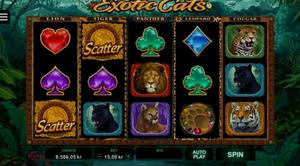 Exotic Cats 1Win