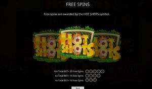 Hot Shots 1Win