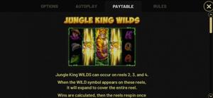 Jungle Stripes 1Win