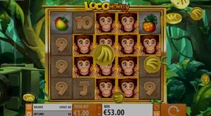 Loco the Monkey 1Win