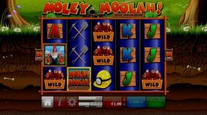 Moley Moolah 1Win