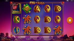 Pig Of Luck