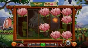 Piggy Bank Farm