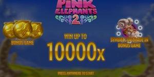 Pink Elephants 2 1Win