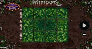 Wildscapes