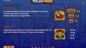 Polar Paws 1Win