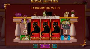 Royal Kitties 1Win