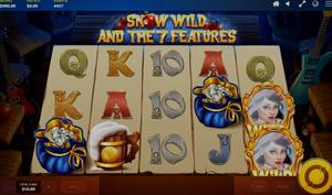 Snow Wild and the 7 Features 1Win