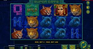 Super Cats 1Win