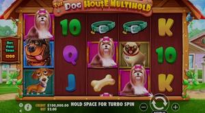 The Dog House Multihold 1Win