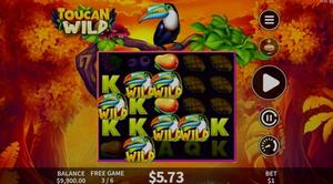 Toucan Wild 1Win