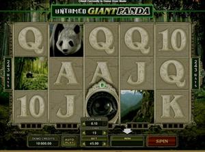 Untamed Giant Panda 1Win