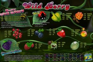 Wild Berry 1Win