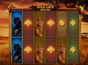 Wild Cats Multiline 1Win