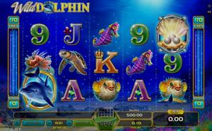 Wild Dolphin 1Win