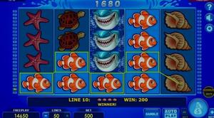 Wild Shark Bonus Buy 1Win