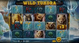 Wild Tundra 1Win