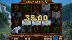 Wolf Sierra 1Win