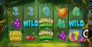 Wonder Woods